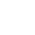 Polar favicon
