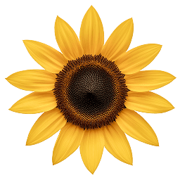Sunflower favicon